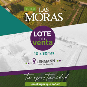 Terreno en Lehmann · foto 4