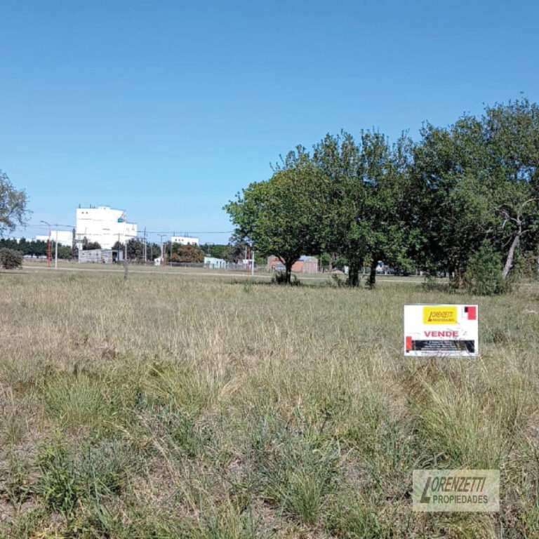 Terreno en Lehmann · foto 6