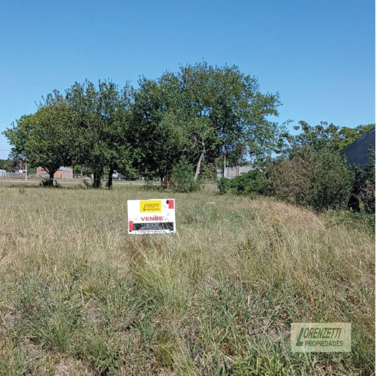 Terreno en Lehmann · foto 13