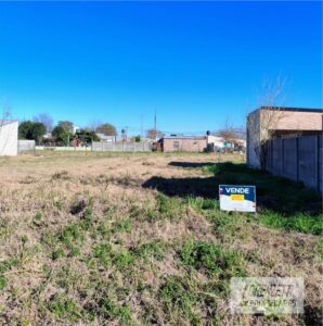 Terreno en Lehmann · foto 4