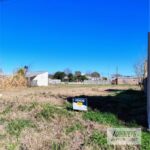 Terreno en Lehmann · foto 10